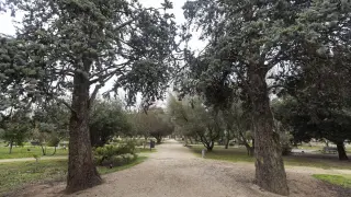 El Jardín Botánico del Parque Grande José Antonio Labordeta de Zaragoza.