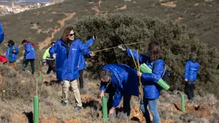 Plantación de árboles en Albentosa, Teruel, de manos de voluntarios.