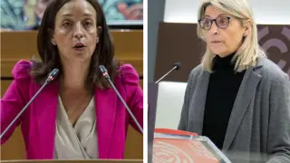 Carmen Susín, consejera de Bienestar Social y Familia de la DGA, y Pilimar Zamora, diputada socialista