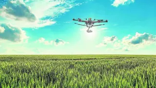 Un dron de la empresa Paintec sobrevuela un campo de cereal en las Cinco Villas.