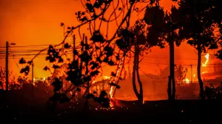 Ascienden a 51 los muertos por los incendios en Chile