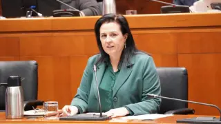Rosa Charneca, directora general de Desarrollo Rural, ha comparecido en la Comisión de Agricultura de las Cortes de Aragón..GOBIERNO DE ARAGÓN..06/02/2024 [[[EP]]]