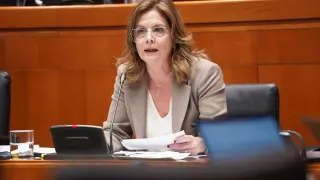 La directora general de Política Educativa, Ana Moracho, este martes en las Cortes de Aragón.