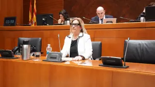 La directora general de Humanización  y Cuidados del Departamento de Sanidad, Estíbaliz Tolosa, en las Cortes de Aragón.