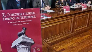 El congreso ha sido presentado este viernes en el salón de plenos del Ayuntamiento de Teruel por la alcaldesa, Emma Buj, y otros representantes del Consistorio y de la organización del evento.