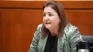 La directora gerente del INAEM, Ana López, ha comparecido en la Comisión de Economía, Empleo e Industria de las Cortes de Aragón.