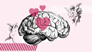 cartela cerebro enamorado