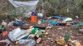 Restos de comida y otras basuras del campamento en el que vivían los que cuidaban las plantas.