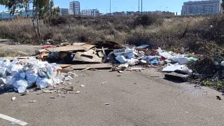 Parte de la basura que tuvieron que retirar los trabajadores de FCC en el Parking Sur de Zaragoza.