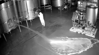 Captura del vídeo de seguridad en el que se ve a la personas que abrió los depósitos de Cepa 21.