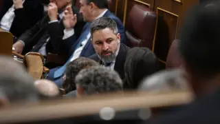El presidente de Vox, Santiago Abascal, durante una sesión plenaria, en el Congreso de los Diputados
