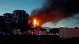 Un incendio arrasa un edificio de 14 plantas en Valencia