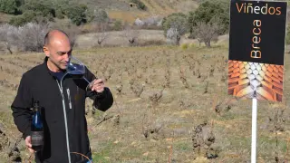 El enólogo José Carlos Ríos, en un viñedo donde se obtiene la uva del vino Brega