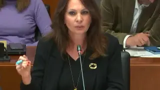 Carnen Herrarte, diputada del PP en las Cortes, durante su intervención en la comisión de Economía.