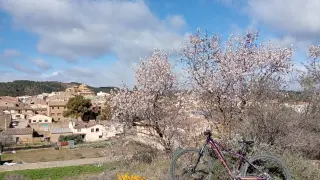 Vista desde la ruta que puede realizarse en bicicleta apara ver los almendros en flor.