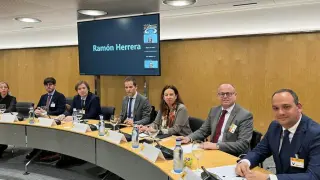 María Luisa Feijóo, directora general de Universidades, -en el centro de la imagen- durante la Comisión de Trabajo en Madrid.