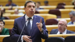 El ministro de Agricultura, Luis Planas, interviene en la sesión de control al Gobierno en el pleno del Senado.