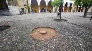 El temporal derriba dos palmeras del Patio de los Naranjos de la Mezquita de Córdoba