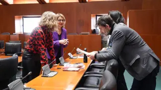 Diputados de la Comisión de Bienestar Social y Familia de las Cortes de Aragón, este martes, en un receso de la reunión