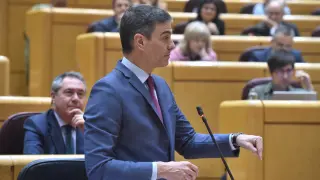 El presidente del Gobierno, Pedro Sánchez, interviene durante una sesión de control al Gobierno, en el Senado.