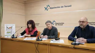 Presentación de la campaña de promoción de los multiservicios de Teruel.