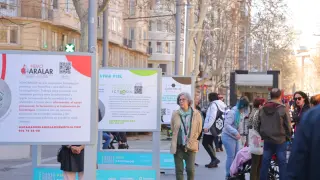 Inauguración de la exposición sobre enfermedades raras en la Gran Vía de Zaragoza.