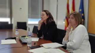 La consejera de Bienestar Social y Familia de Aragón, Carmen Susín, ha participado telemáticamente en la sectorial de Migraciones.