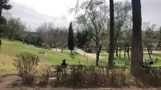 Varias personas, este domingo, en el parque Grande de Zaragoza.