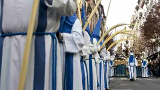 Procesión de la Cofradía de la Entrada de Jesús en Jerusalén el Domingo de Ramos en Zaragoza