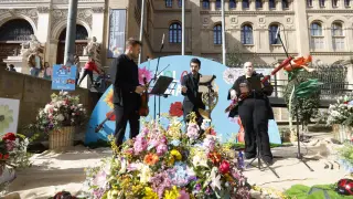 'Hola Primavera' en Zaragoza 2024: Serenarte (trío de trompa, violín y fagot) en el Paraninfo