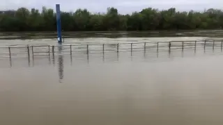 La ribera del Ebro a su paso por Ranillas, inundadas