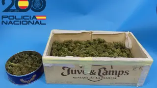 Caja en la que transportaba los 600 gramos de marihuana en Huesca.