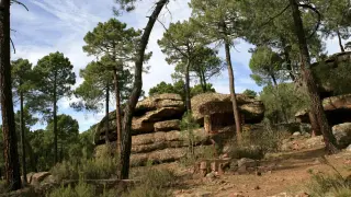 Pinares de rodeno en Albarracín .gsc1