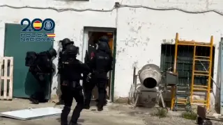En vídeo: la Policía localiza un pequeño 'bosque indoor' de marihuana en el barrio de Miralbueno