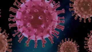 Virus gsc1
