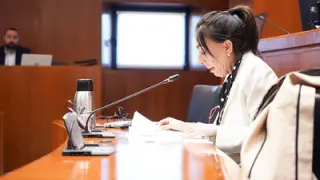 La ex directora general de Vea Qualitas, Ángela Laguna, en su comparecencia ante la comisión de investigación de las renovables.