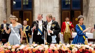 Los reyes de España y Países Bajos brindan en la cena de gala en Ámsterdam NETHERLANDS SPAIN ROYALS