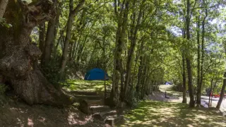 Este camping del Valle de Tena nos permite descubrir el Parque Nacional de Ordesa y Monte Perdido