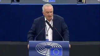 Un eurodiputado suelta una paloma viva en pleno hemiciclo para pedir la paz en Europa