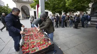 Protesta de UPA Aragón con el reparto de fresas en Plaza de España