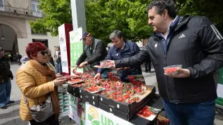 José Manuel Roche, secretario general de UPA Aragón, hoy repartiendo fresas en Zaragoza.