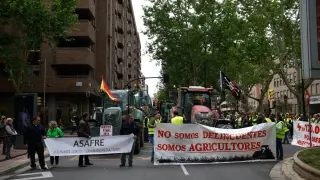Cientos de agricultores se manifiestan en el centro de Zaragoza este sábado