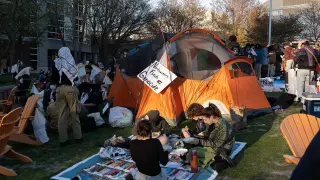 EEUU.- Un centenar de detenidos en el desalojo de una acampada propalestina en una universidad de Boston