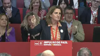 Ribera dice que en el PSOE pueden ser "pedigüeños, bambis y perros" pero no "ilegítimos"