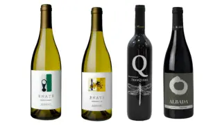 Cuatro vinos monovarietales de Aragón.
