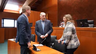Comisión de Agricultura celebrada ayer en las Cortes de Aragón.