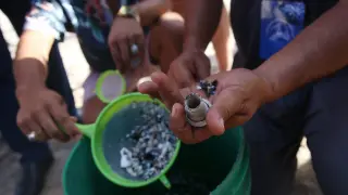 Un grupo de personas trabaja en la limpieza de microplásticos durante la ‘Cumbre de Líderes del Pacífico 2024 por la Protección de los Océanos y el Desafío de la Contaminación del Plástico y Microplásticos de la Región’, en playa Ana Kena, Isla de Pascua