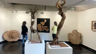 Exposición 'Árbol grande, árbol viejo', de la Fundación Ibercaja en Huesca.