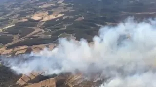 El incendio de vegetación en Batea, cerca de Aragón.