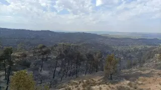 Área quemada por el incendio originado en Cataluña y que ha afectado a Aragón